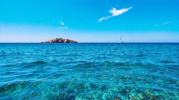 Top cursos de buceo en España para comenzar hoy